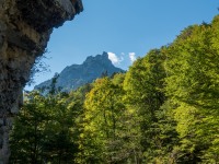Looking up towards the mountains (Three Sisters 2018)