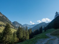 View along the road (Three Sisters 2018)