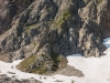 More glissading (Hofpürglhütte)