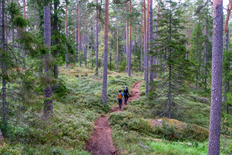 Phil and Julie walking (Seakayaking Sweden, August 2024)