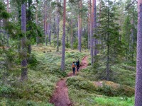 Phil and Julie walking (Seakayaking Sweden, August 2024)