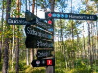 Swedish walking signs (Seakayaking Sweden, August 2024)