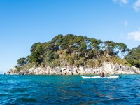 Annu kayaking (Seakayaking Abel Tasman April 2021)