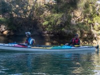 Ellen and Craig in the sea bear with a seal (Seakayaking Abel Tasman April 2021)