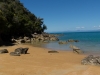 Te Puketia (Seakayaking Abel Tasman Dec 2014)