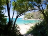 View down towards beach (Seakayaking Abel Tasman Dec 2014)