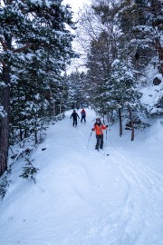 Skiing down (Ski Touring Andorra April 2022)