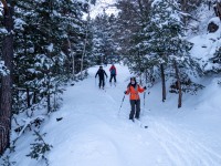 Skiing down (Ski Touring Andorra April 2022)