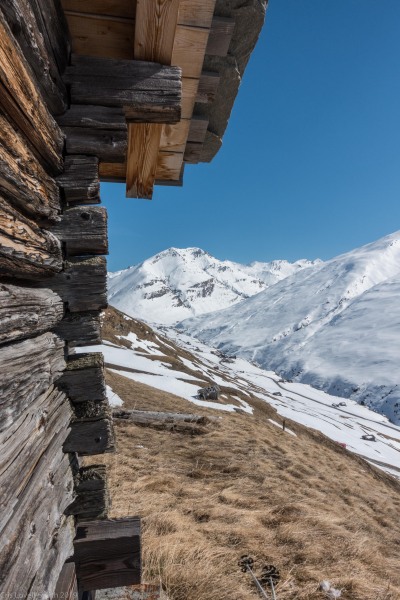 Definitely spring time (Ski touring Avers March 2019)