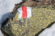 Rock with hiking marker (Ski touring Avers March 2019)