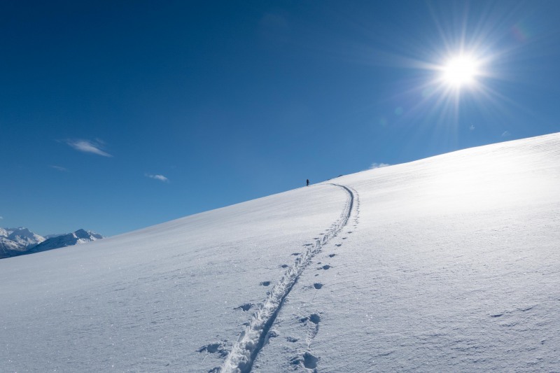 Snow and tracks (Ski Touring Camp Stream Hut Aug 2021)