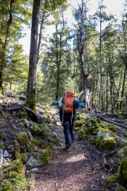 Craig in the forest (Ski Touring Snowy Gorge Hut Aug 2021)
