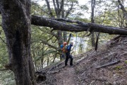 Walking out (Ski Touring Snowy Gorge Hut Aug 2021)