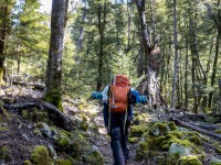 Craig in the forest (Ski Touring Snowy Gorge Hut Aug 2021)