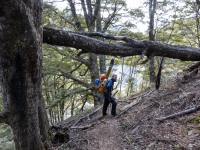 Walking out (Ski Touring Snowy Gorge Hut Aug 2021)