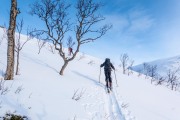 Skinning up in the evening (Ski Touring Tromso, April 2022)