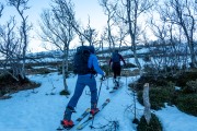 Through the trees (Ski Touring Tromso, April 2022)