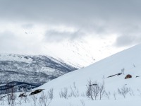 Grey everywhere (Ski Touring Tromso, April 2022)
