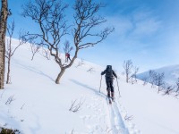 Skinning up in the evening (Ski Touring Tromso, April 2022)