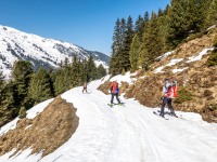 Skiing back to the car park (Ski touring Weidener Huette March 2022)