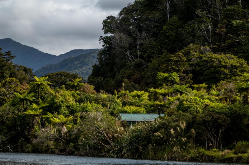 Stafford Hut amongst the bush (Doof trip South Dec 2023)