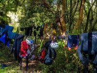Gear hanging out to dry (Doof trip South Dec 2023)