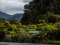 Stafford Hut amongst the bush (Doof trip South Dec 2023)