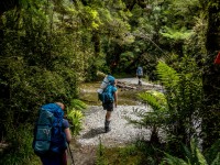 Tramping to Stafford Hut (Doof trip South Dec 2023)
