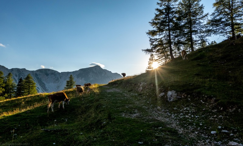 Arriving back at the hut (Summer Holidays August 2022)