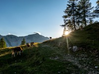 Arriving back at the hut (Summer Holidays August 2022)