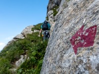 Exiting to the normal track (Summer Holidays August 2022)