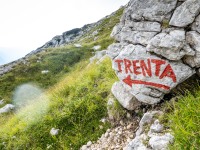 Trenta that way (Summer Holidays August 2022)