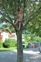 lads-in-tree-swiss-o-week-switzerland