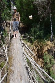 A flying book attacks Brendan (Takaka 2013)