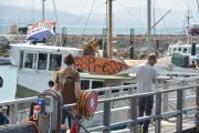 Brendan and Andy investigate the coffee ship (Takaka 2013)