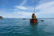 Coming in to land (Takaka 2013)