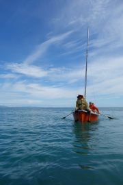 Coming into land again (Takaka 2013)