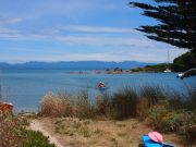 Coming into shore (Takaka 2013)