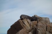 Don't wake me up, I'm rather sleepy (Takaka 2013)