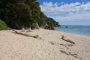 Goat Bay (Takaka 2013)