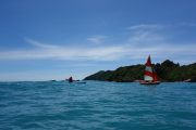 Holly following the boat (Takaka 2013)