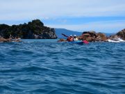 Kayaking with Holly (Takaka 2013)