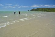 Mum and Holly paddling in Wainui Inlet (Takaka 2013)