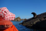 Mum and the seal (Takaka 2013)