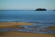 Mum on the beach in Ligar Bay (Takaka 2013)