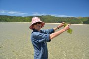 Mum with a bit of lunch (Takaka 2013)