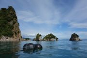 Muscle buoys (Takaka 2013)