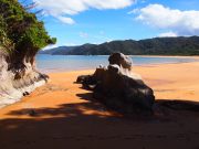 Totaranui beach (Takaka 2013)