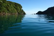 View near Tata Island (Takaka 2013)