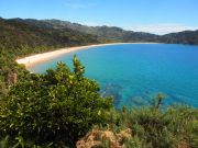 View of Totaranui (Takaka 2013)